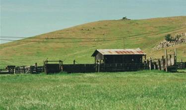 Clovis Ranch Old Barn