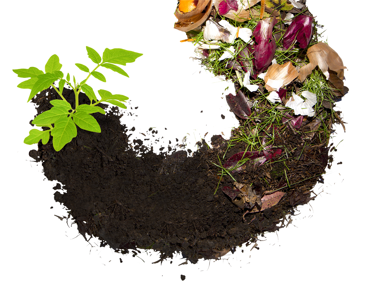 The-Composting-Circle-of-Life